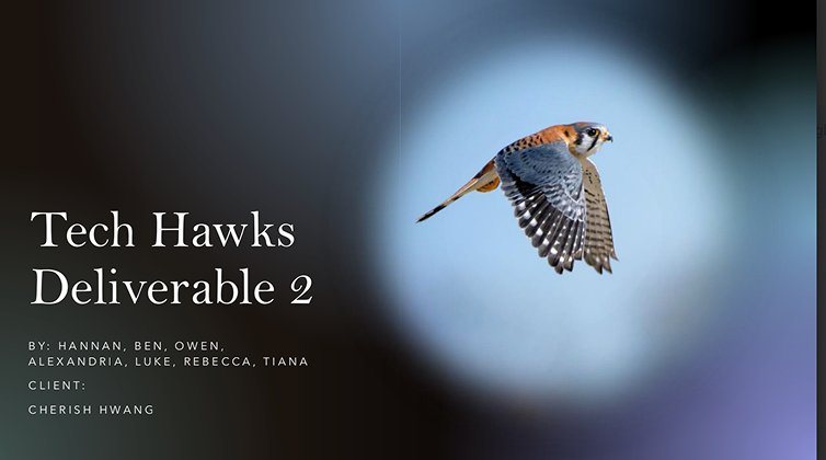 Tech Hawks Deliverable 2 cover, ideation and concepts